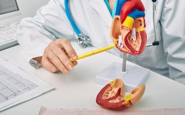 Doctor Image